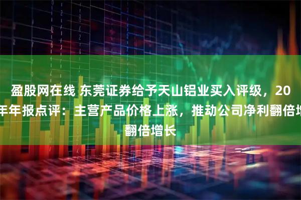 盈股网在线 东莞证券给予天山铝业买入评级，2024年年报点评：主营产品价格上涨，推动公司净利翻倍增长
