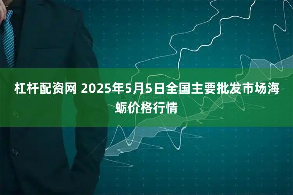 杠杆配资网 2025年5月5日全国主要批发市场海蛎价格行情