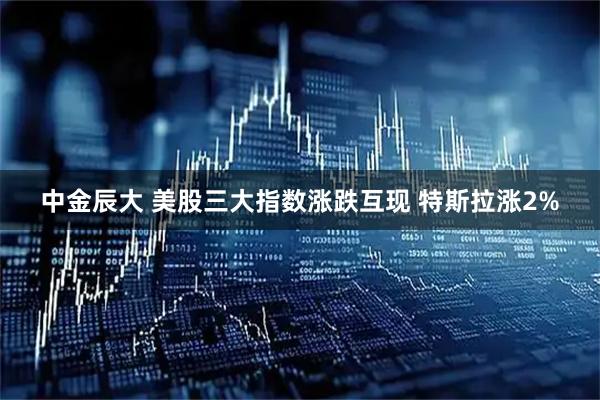 中金辰大 美股三大指数涨跌互现 特斯拉涨2%
