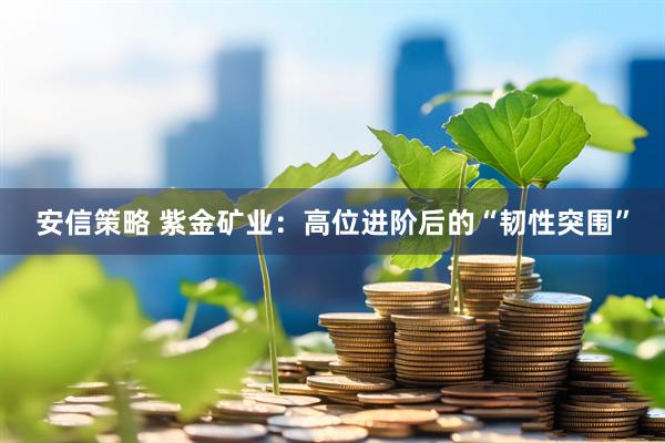 安信策略 紫金矿业：高位进阶后的“韧性突围”
